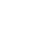 pronay.png logo